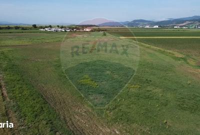 Teren de 39500 mp, în Vințu de Jos - 5