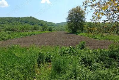 Casa de vanzare Sinpetru Alma?ului, Hida cu teren 6000 mp