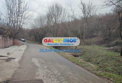 Teren Construcții intravilan de 2248 mp, în Răzvad - 15