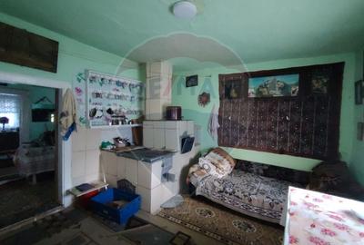 Casă cu 2 camere cu Teren 9287 Mp în Sunători - 6