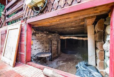 Pensiune cu 10 camere si 3700 mp teren, Arieseni - 13