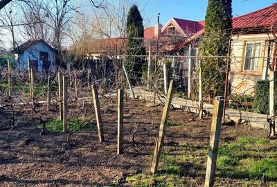 Casă cu 7 camere cu Teren 5500 Mp în Central - 7