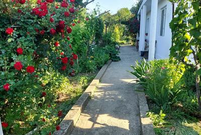 Casă cu 6 camere cu Teren 2000 Mp în Cataloi - 2