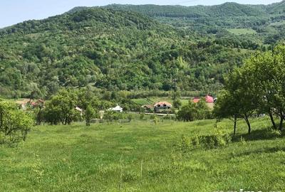 Teren în Stoenești - 8