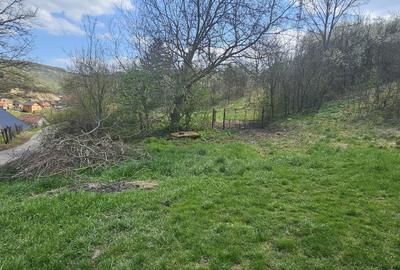 Spațiu comercial, în Unirea - 15