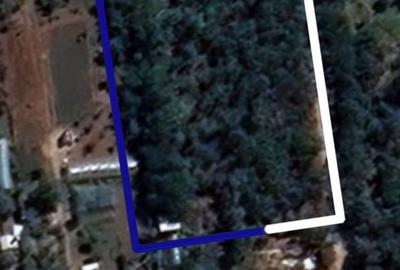 Teren de 2200 mp, în Schitu - 1