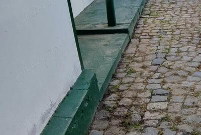 Casa tradi?ionala Sulina