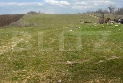 Casă cu 4 camere cu Teren 2200 Mp în Podari - 5