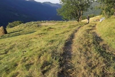 Teren de 5621 mp, în Măguri - 4