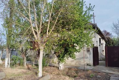 Casă cu 3 camere în Mișca - 3