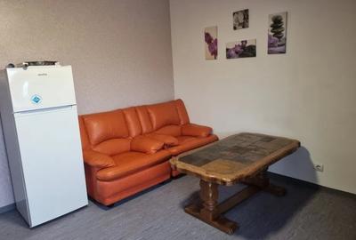 Apartament cu 3 camere nedecomandat, mobilat în Regie - 5