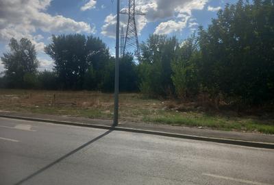 Popesti Leordeni, direct de la proprietar Popesti Leordeni, direct de la proprietar - 15