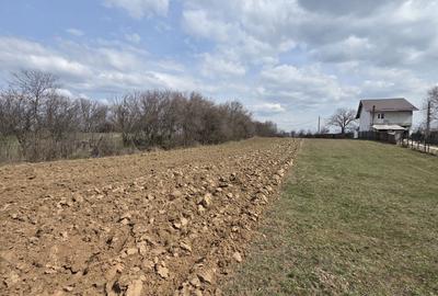 Teren de 2551 mp, în Măgureni - 15