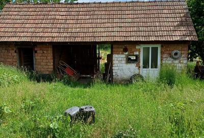 Casă cu 3 camere în Jabenița - 7