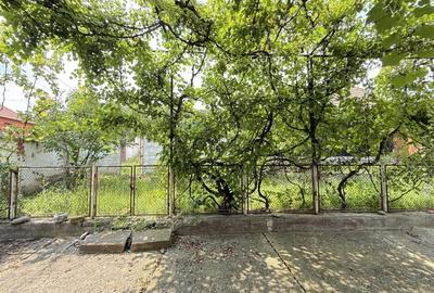 CASĂ TRADIȚIONALĂ | 8 KM DE VISCRI - PATRIMONIU UNESCO | COMISION 0% - 10