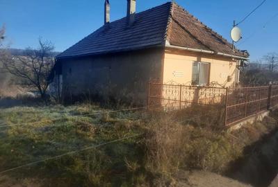 Casă în Pericei - 8