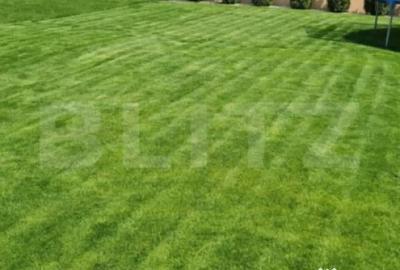 Casă cu 5 camere cu Teren 500 Mp în Central - 1