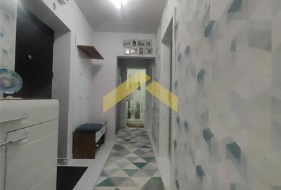 Apartament cu 3 camere semidecomandat în Micălaca - 12