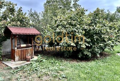 VILA 5 CAMERE CU PISCINA/TEREN 2650MP/CASA PERSONAL/GARAJ/SNAGOV-CIOFLICENI/ - 17