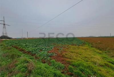 Teren în Chiribiș - 3