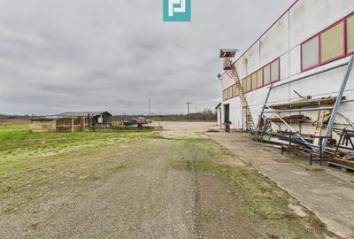 Hală de producție, cu birouri și teren, în Sebiș - 59