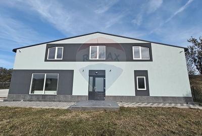 Hala noua 555mp, curte betonata 1000mp, zona de est, de inchiriat - 6