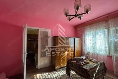 Casa cu 5 camere, 777 mp teren la MOLDOVA VECHE, ideal casa de vacanta - 4