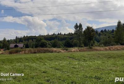 Teren de 700 mp, în Sâmbăta de Sus - 4