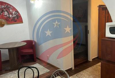 Garsoniera de inchiriat/Craiova/1 mai/ Facultatea de medicina - 12