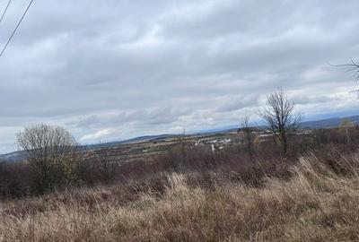 Teren intravilan, 1000 mp, Daia Noua - 4