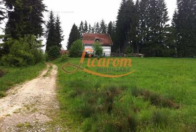 Teren Construcții intravilan de 980 mp, în Timișu de Sus - 15
