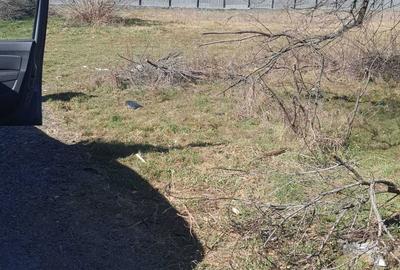 Spațiu comercial, în Ștefănești - 3