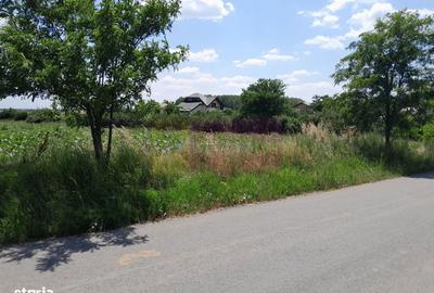 Teren de 16500 mp, în Vărăști - 2