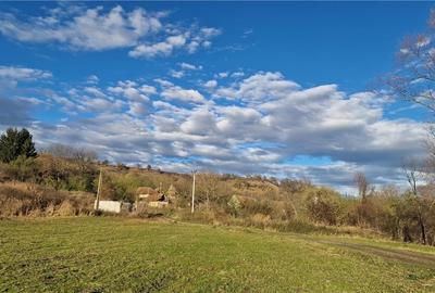 Ocazie!Oaza de liniste in satul Colun,cu 572mp ,la 40km de Sibiu Ocazie!Oaza de liniste in satul Colun,cu 572mp ,la 40km de Sibiu - 29