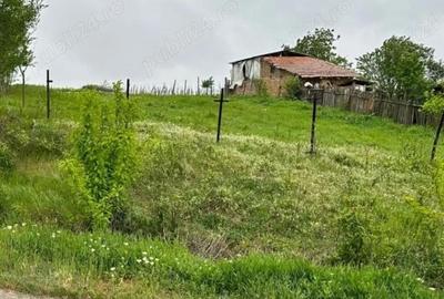 Teren de 4000 mp, în Perieți - 2