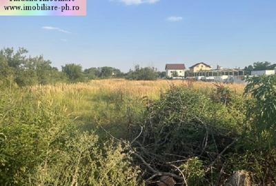 Teren de vanzare - Blejoi-(sat Ploiestiori) - 3