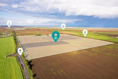 Teren agricol extravilan de 400000 mp, în Sud - 1