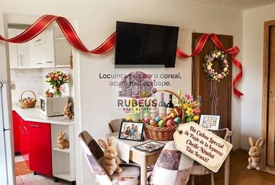 Apartament cu 2 camere nedecomandat, mobilat în Central