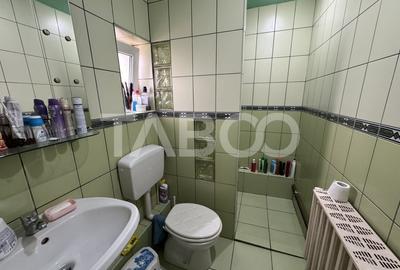 Casa singur in curte cu 4 camere pivnita teren 234 mp Terezian Sibiu - 6