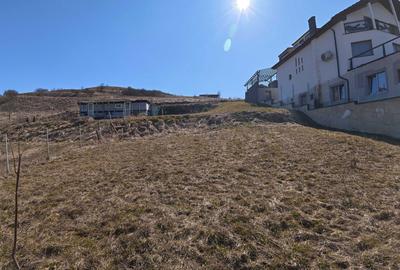 Teren de 1000 mp, în Sânnicoară - 2