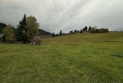 Teren Intravilan de 16.000 mp, Utilitati si Acte in Regula - 3