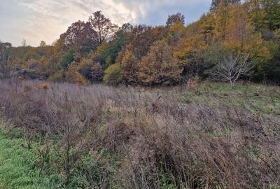 Teren 1,717mp Margineni / Strada Sat podis - 10