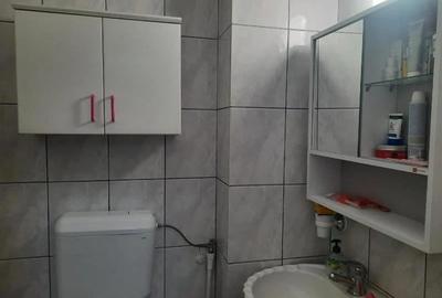 3 Camere, Decebal,  Centrala, 10 min Metrou, Pet Friendly (talie mica) - 8