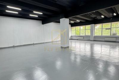 Spațiu industrial, de 180 mp, în Theodor Pallady - 1