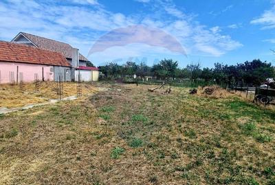 Teren cu fundatie si autorizatie de constructie valabila - Sambateni - 3