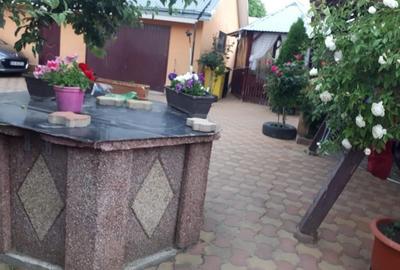 Casă cu 5 camere cu Teren 2600 Mp în Mitocu Dragomirnei - 7