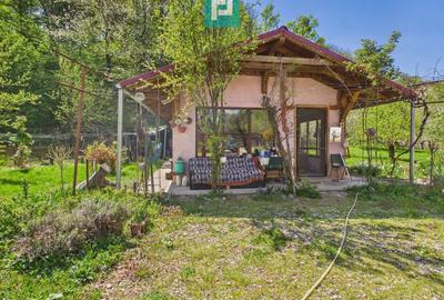 Casă individuală cu 5 camere cu Canalizare în Câmpani - 22