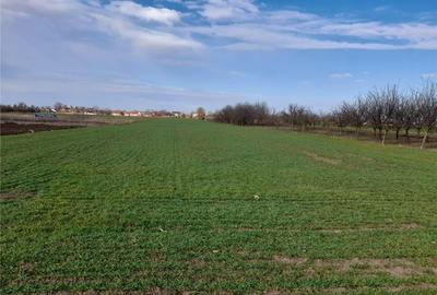 Teren de 9100 mp, în Central - 4