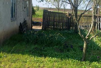 Casă cu 3 camere în Gara Bobocu - 7