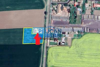 Teren Construcții intravilan de 1000 mp, în Mihail Kogălniceanu - 9
